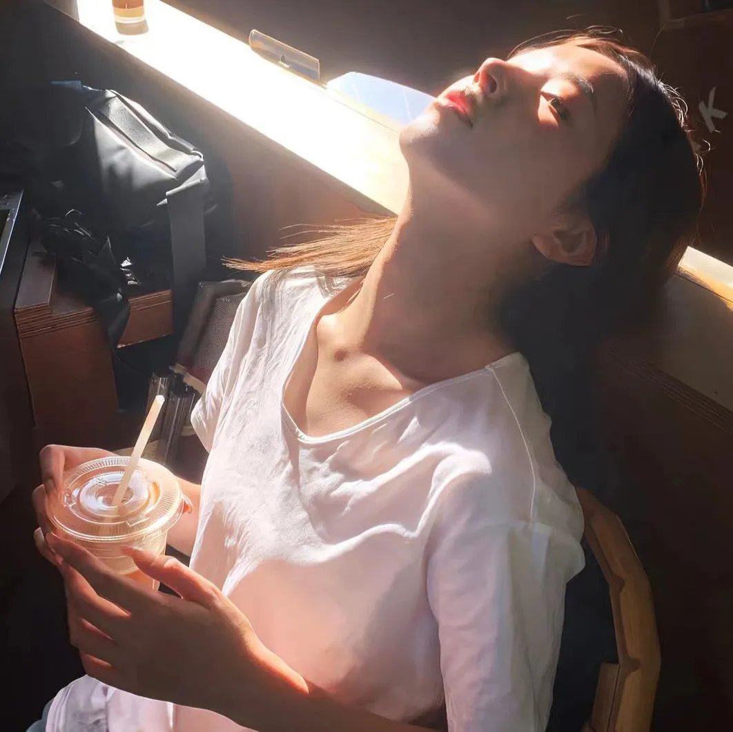 百日蔷薇